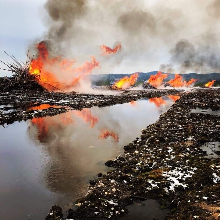 Fire Mitigation - Pile Burning
