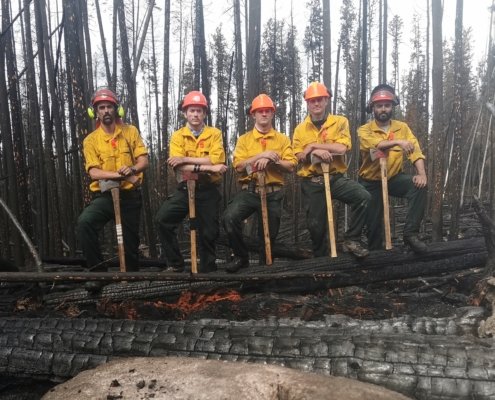 wildfire crews