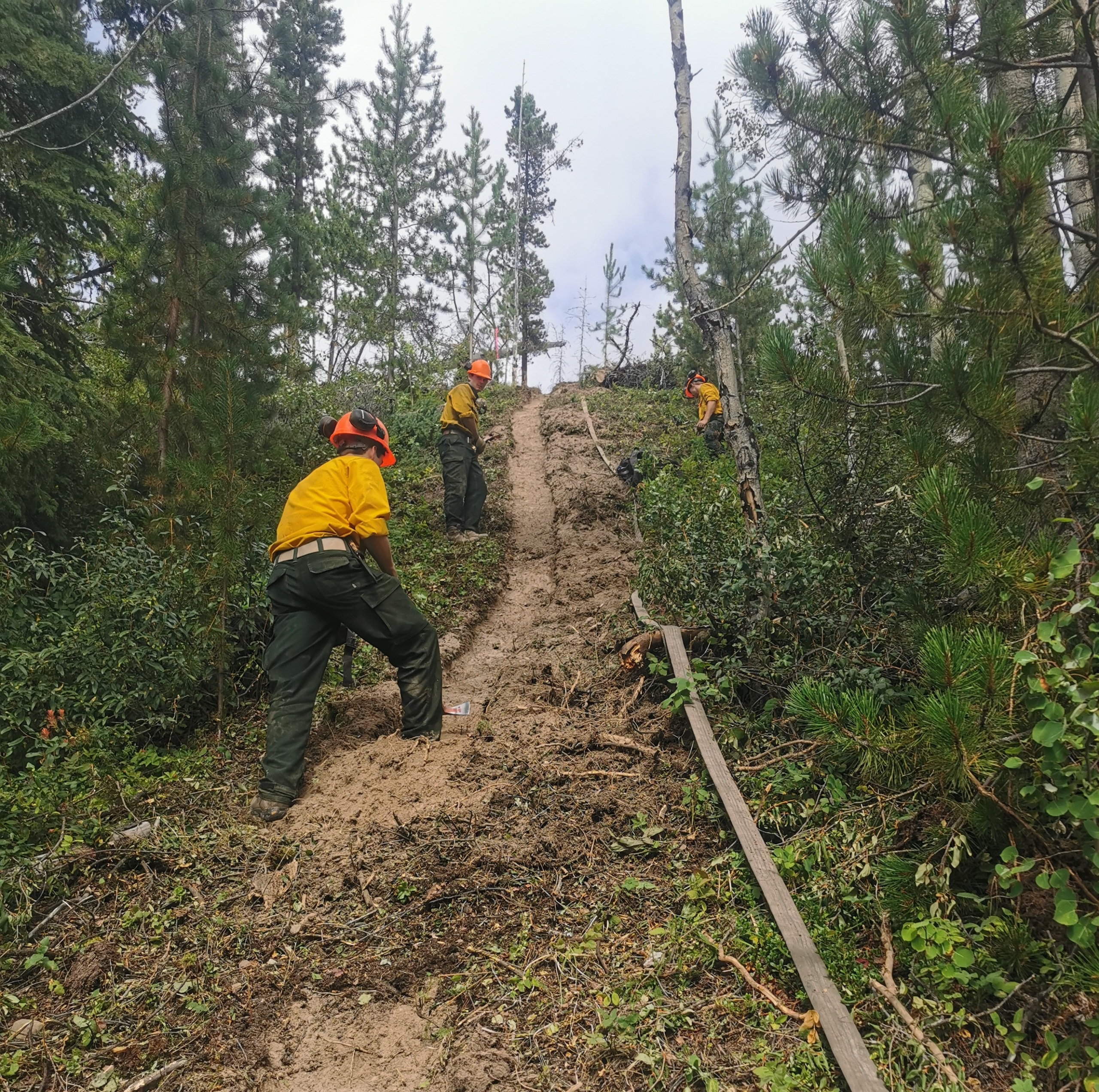 wildfire fighting crews 