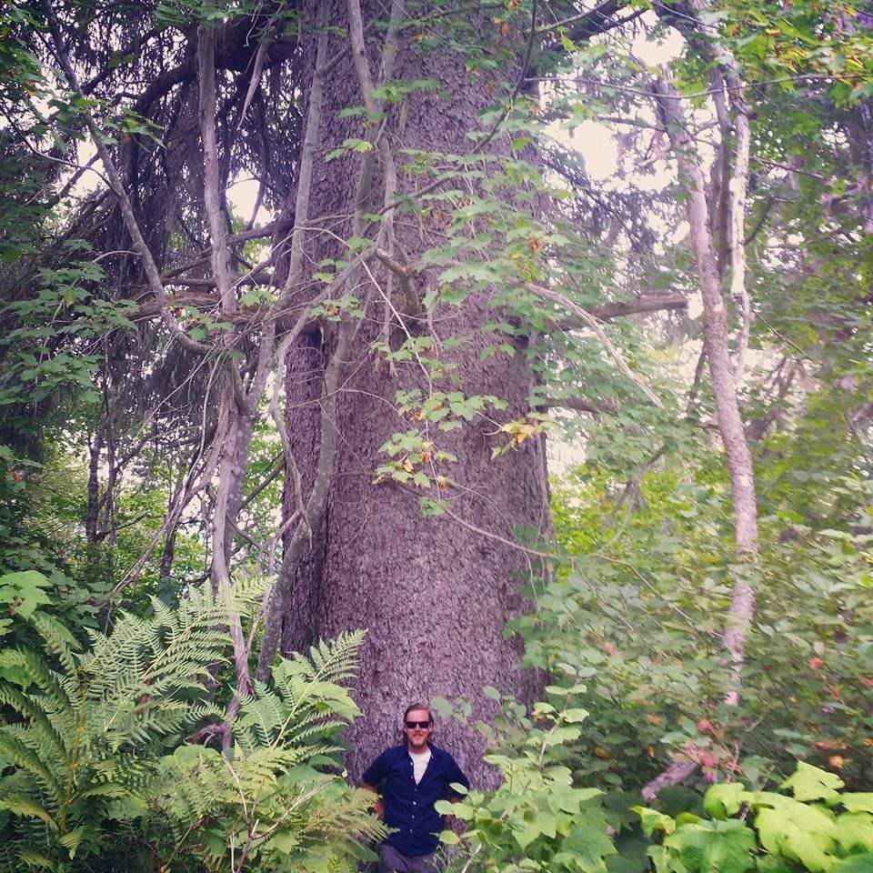 Man standing in front of one of the largest trees in BC.